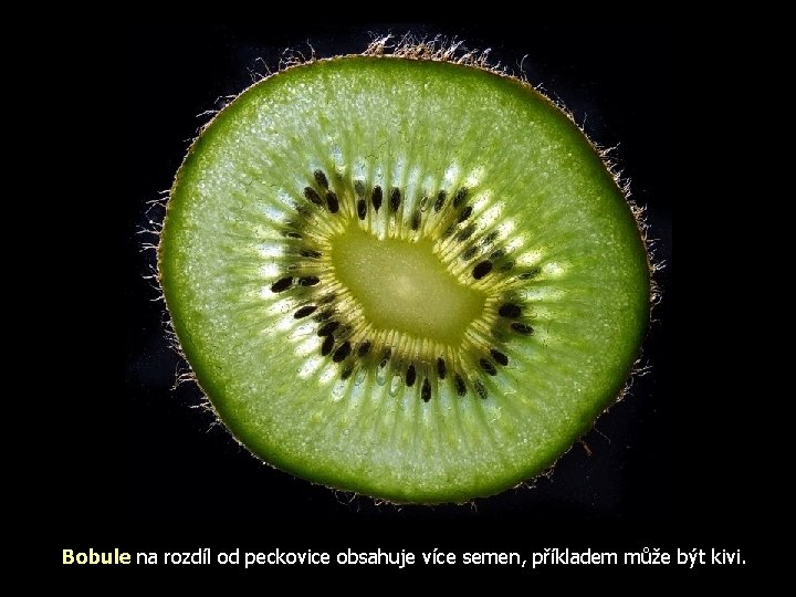 Bobule na rozdíl od peckovice obsahuje více semen, příkladem může být kivi. 