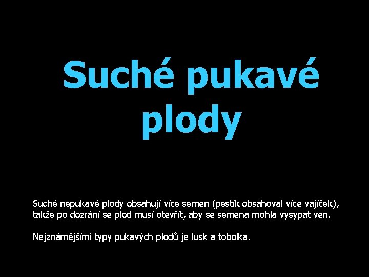 Suché pukavé plody Suché nepukavé plody obsahují více semen (pestík obsahoval více vajíček), takže