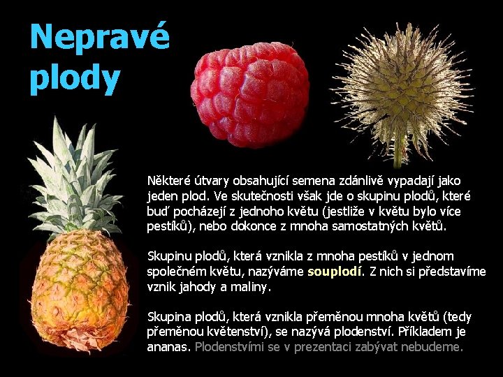 Nepravé plody Některé útvary obsahující semena zdánlivě vypadají jako jeden plod. Ve skutečnosti však