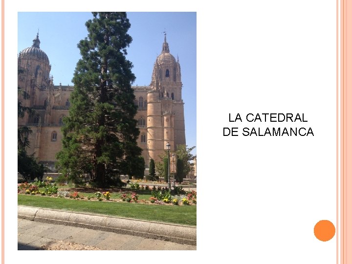 LA CATEDRAL DE SALAMANCA LA CATEDRAL DE SALAMANCA