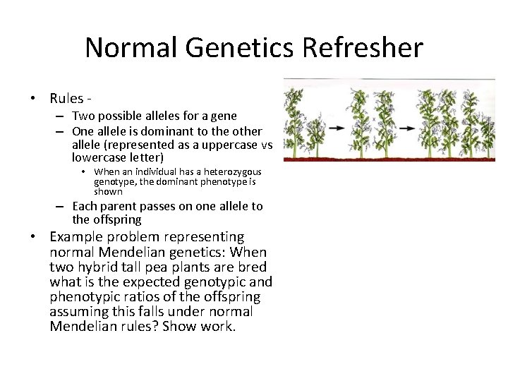 Normal Genetics Refresher • Rules - – Two possible alleles for a gene –