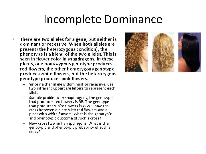 Incomplete Dominance • There are two alleles for a gene, but neither is dominant