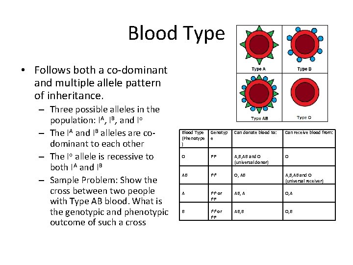Blood Type • Follows both a co-dominant and multiple allele pattern of inheritance. –