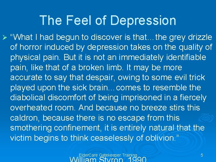 The Feel of Depression Ø “What I had begun to discover is that…the grey