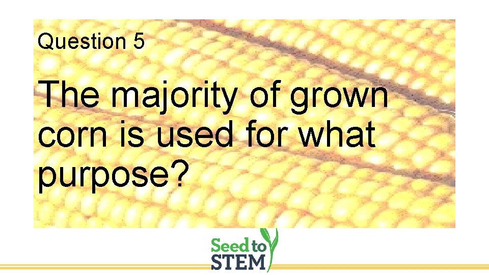Question 5 The majority of grown corn is used for what purpose? 