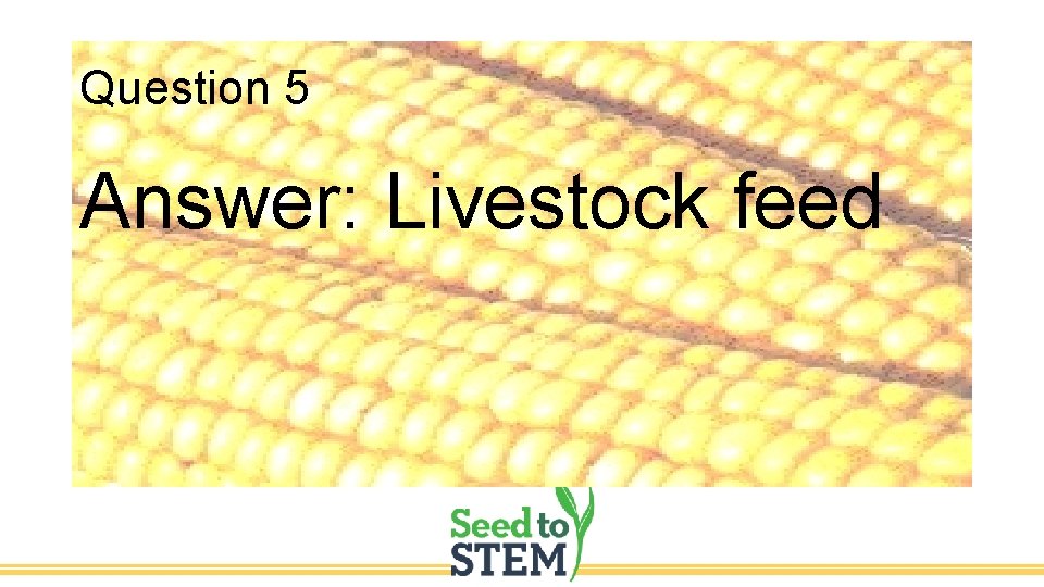 Question 5 Answer: Livestock feed 