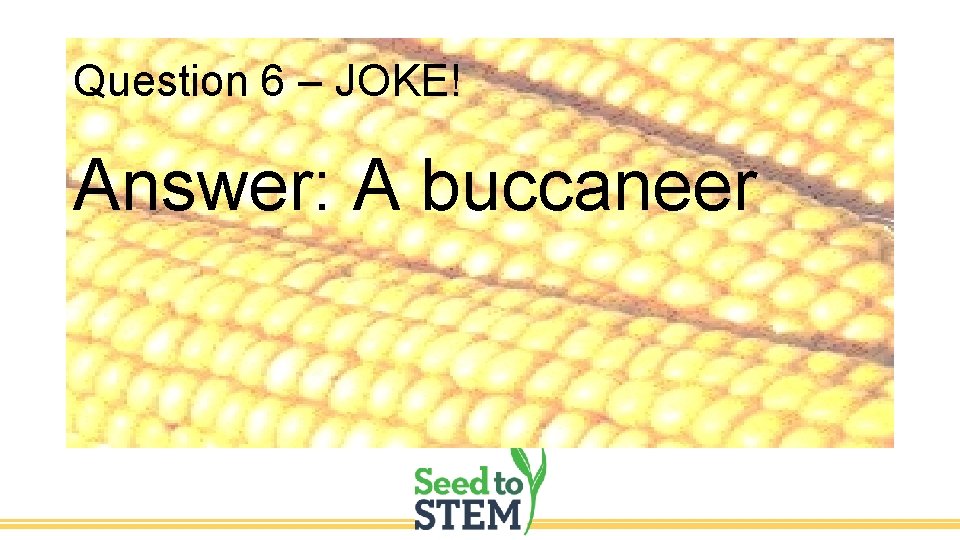 Question 6 – JOKE! Answer: A buccaneer 