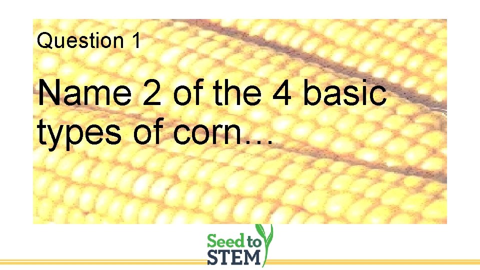 Question 1 Name 2 of the 4 basic types of corn… 