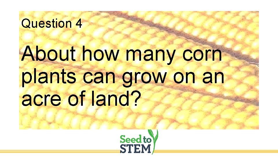 Question 4 About how many corn plants can grow on an acre of land?