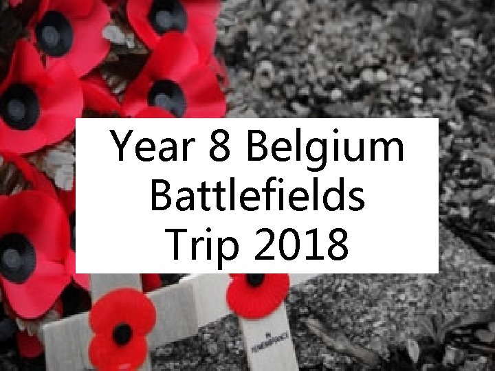 Year 8 Belgium Battlefields Trip 2018 