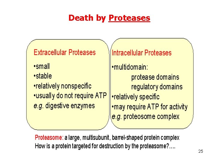 Death by Proteases 25 