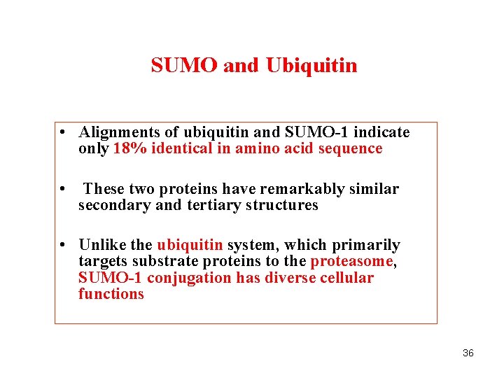 SUMO and Ubiquitin • Alignments of ubiquitin and SUMO-1 indicate only 18% identical in