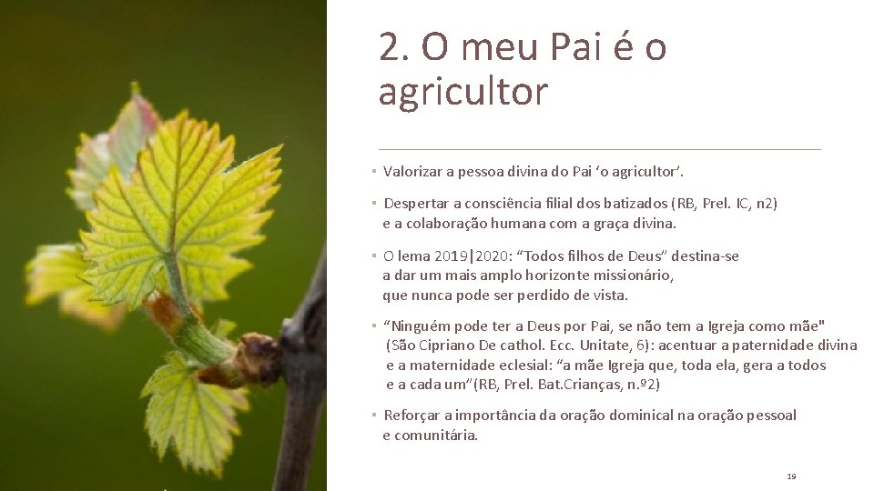 2. O meu Pai é o agricultor ▪ Valorizar a pessoa divina do Pai