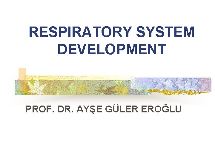 RESPIRATORY SYSTEM DEVELOPMENT PROF. DR. AYŞE GÜLER EROĞLU 