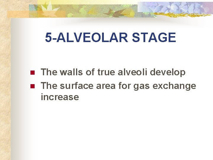 5 -ALVEOLAR STAGE n n The walls of true alveoli develop The surface area