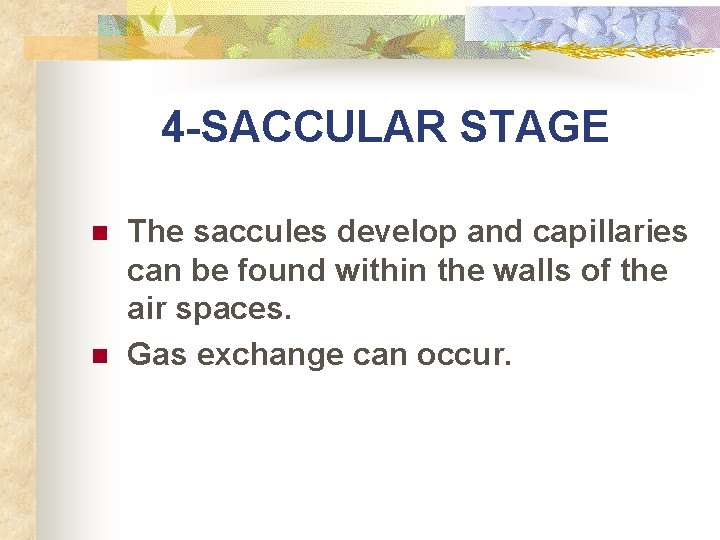 4 -SACCULAR STAGE n n The saccules develop and capillaries can be found within