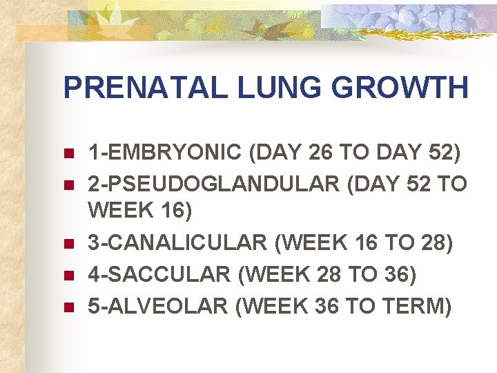 PRENATAL LUNG GROWTH n n n 1 -EMBRYONIC (DAY 26 TO DAY 52) 2