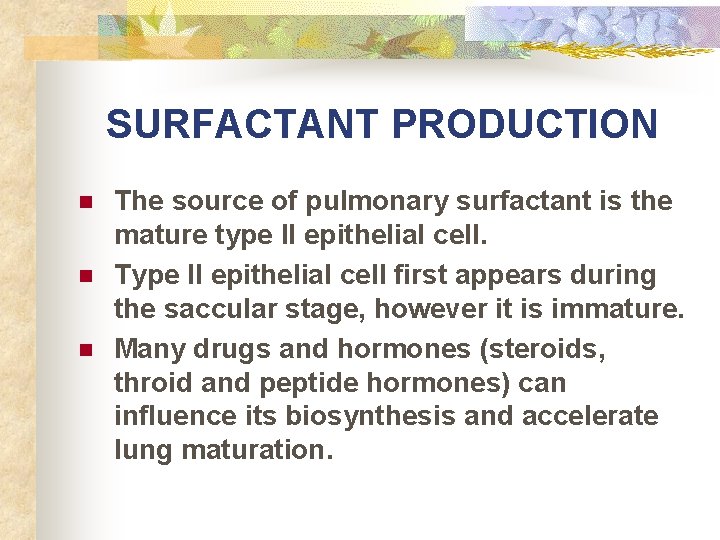 SURFACTANT PRODUCTION n n n The source of pulmonary surfactant is the mature type