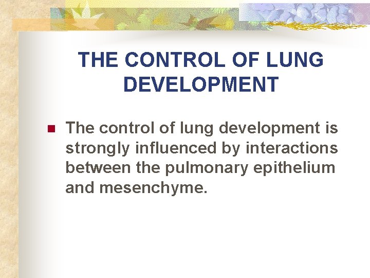THE CONTROL OF LUNG DEVELOPMENT n The control of lung development is strongly influenced