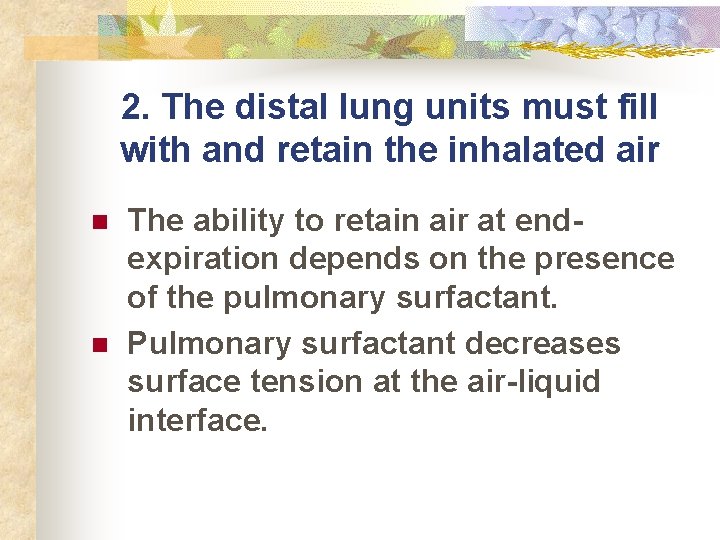 2. The distal lung units must fill with and retain the inhalated air n