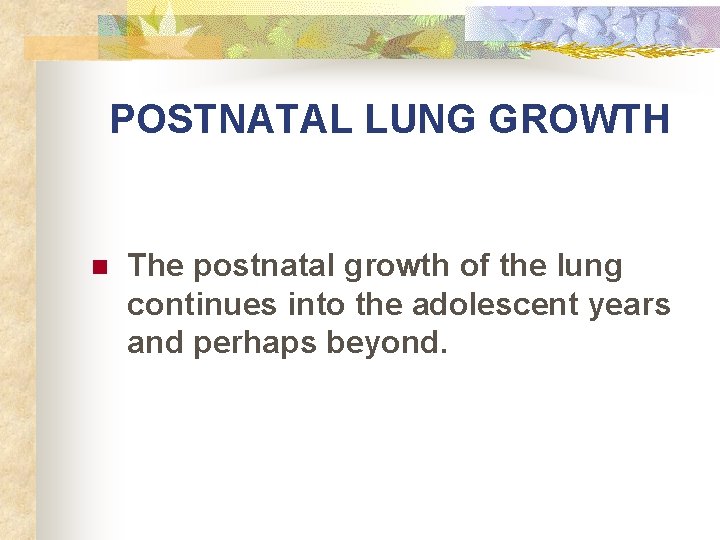 POSTNATAL LUNG GROWTH n The postnatal growth of the lung continues into the adolescent