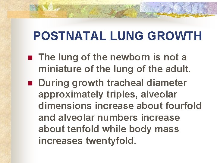 POSTNATAL LUNG GROWTH n n The lung of the newborn is not a miniature