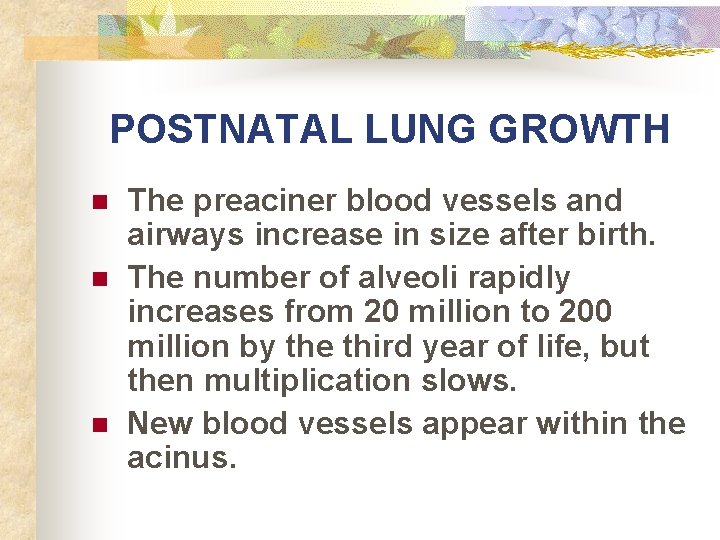 POSTNATAL LUNG GROWTH n n n The preaciner blood vessels and airways increase in