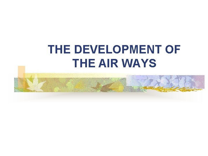 THE DEVELOPMENT OF THE AIR WAYS 