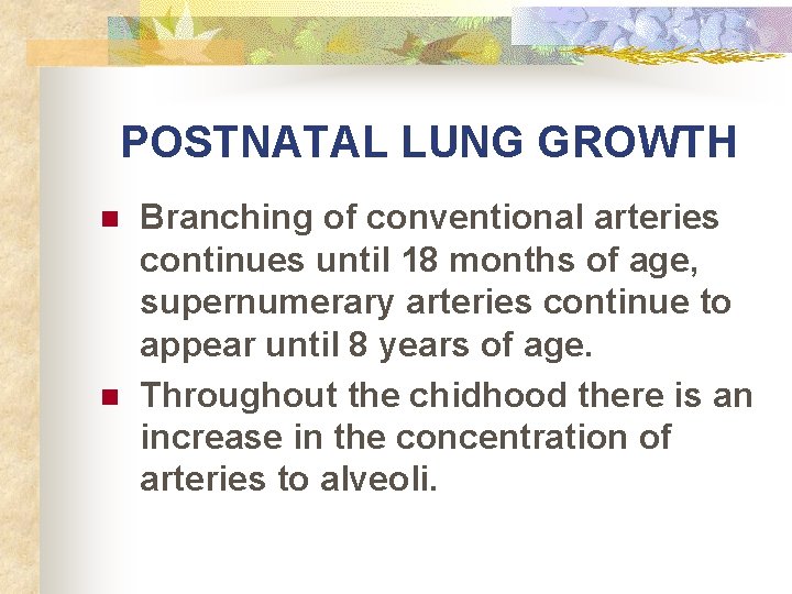 POSTNATAL LUNG GROWTH n n Branching of conventional arteries continues until 18 months of