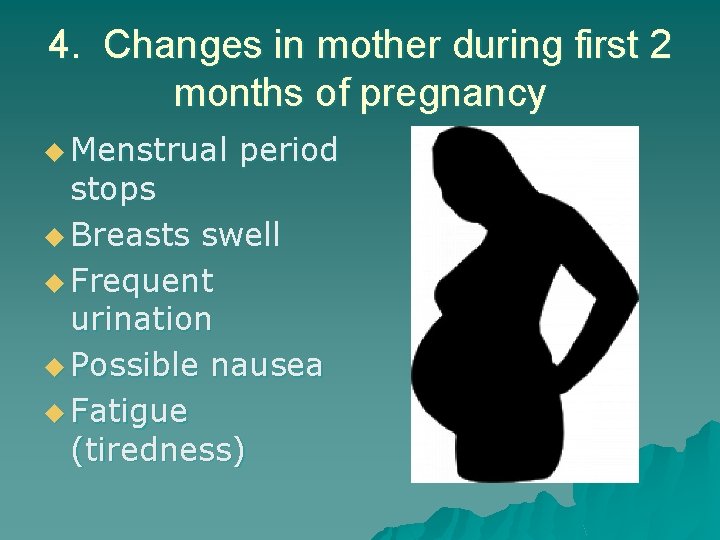 4. Changes in mother during first 2 months of pregnancy u Menstrual period stops