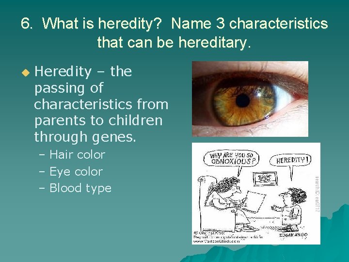 6. What is heredity? Name 3 characteristics that can be hereditary. u Heredity –