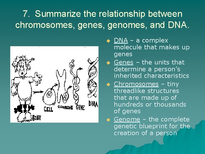 7. Summarize the relationship between chromosomes, genomes, and DNA. u u DNA – a