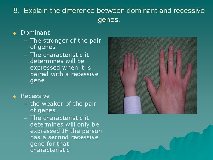 8. Explain the difference between dominant and recessive genes. u Dominant – The stronger