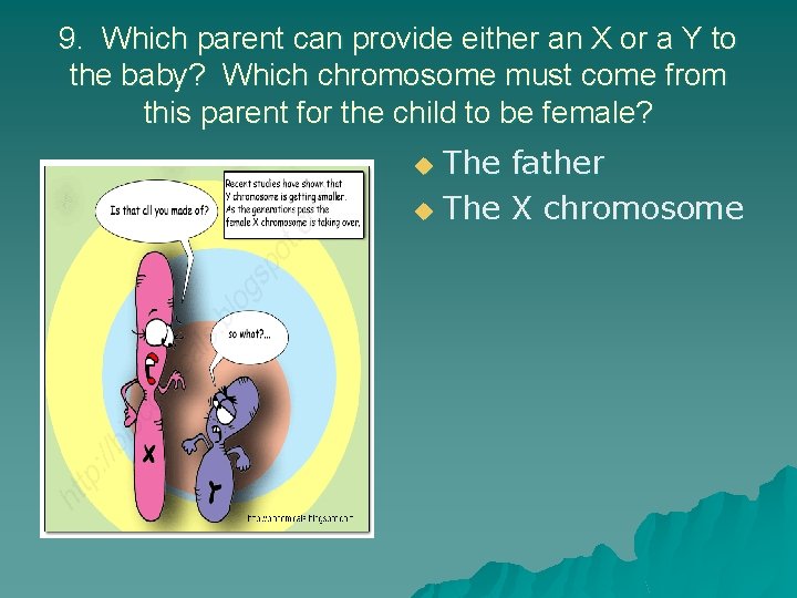 9. Which parent can provide either an X or a Y to the baby?