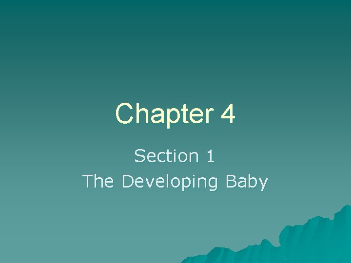 Chapter 4 Section 1 The Developing Baby 