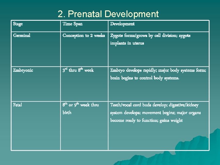 2. Prenatal Development Stage Time Span Development Germinal Conception to 2 weeks Zygote forms/grows