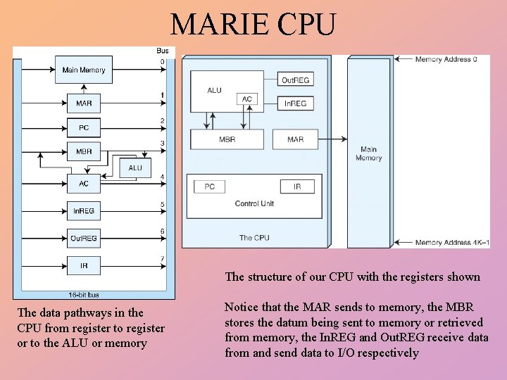MARIE CPU The structure of our CPU with the registers shown The data pathways