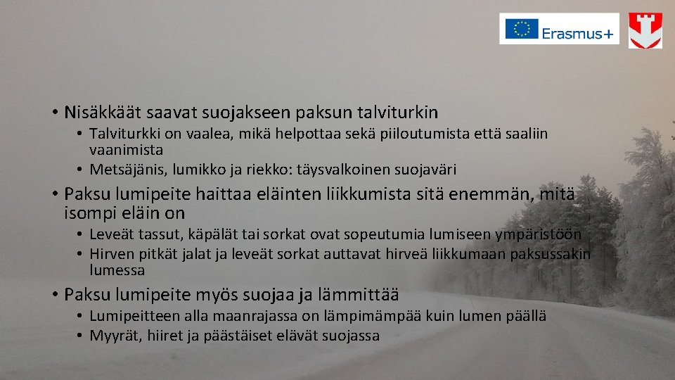  • Nisäkkäät saavat suojakseen paksun talviturkin • Talviturkki on vaalea, mikä helpottaa sekä