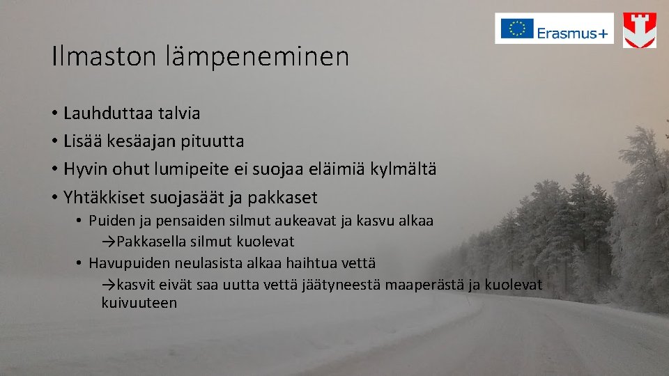 Ilmaston lämpeneminen • Lauhduttaa talvia • Lisää kesäajan pituutta • Hyvin ohut lumipeite ei