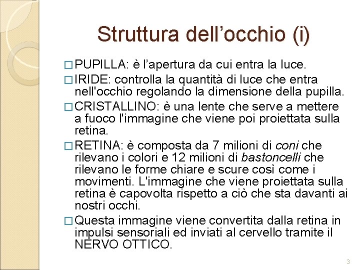 Struttura dell’occhio (i) � PUPILLA: è l’apertura da cui entra la luce. � IRIDE: Struttura dell’occhio (i) � PUPILLA: è l’apertura da cui entra la luce. � IRIDE: