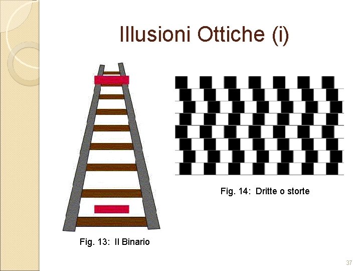 Illusioni Ottiche (i) Fig. 14: Dritte o storte Fig. 13: Il Binario 37 Illusioni Ottiche (i) Fig. 14: Dritte o storte Fig. 13: Il Binario 37