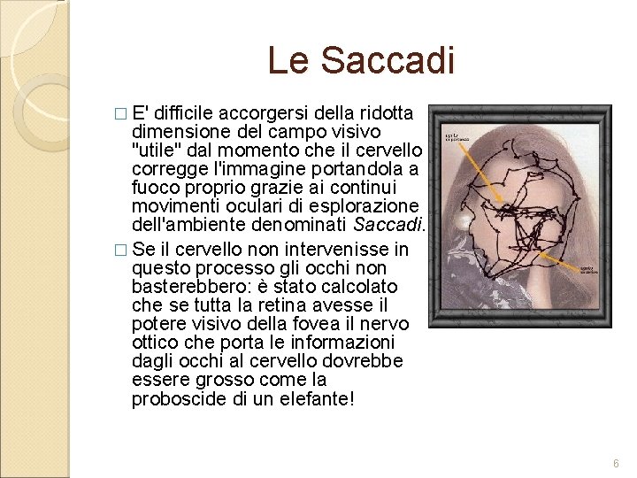 Le Saccadi � E' difficile accorgersi della ridotta dimensione del campo visivo "utile" dal Le Saccadi � E' difficile accorgersi della ridotta dimensione del campo visivo "utile" dal