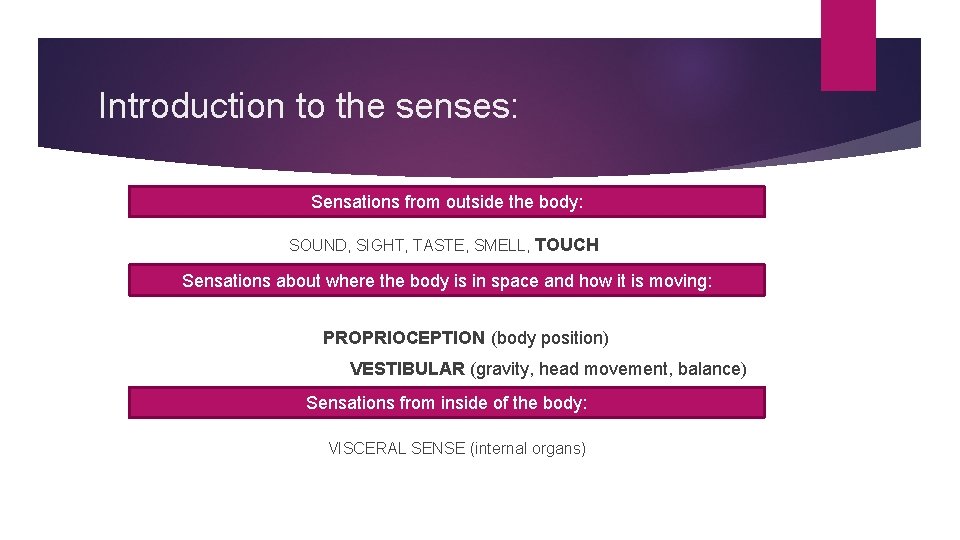 Introduction to the senses: Sensations from outside the body: SOUND, SIGHT, TASTE, SMELL, TOUCH