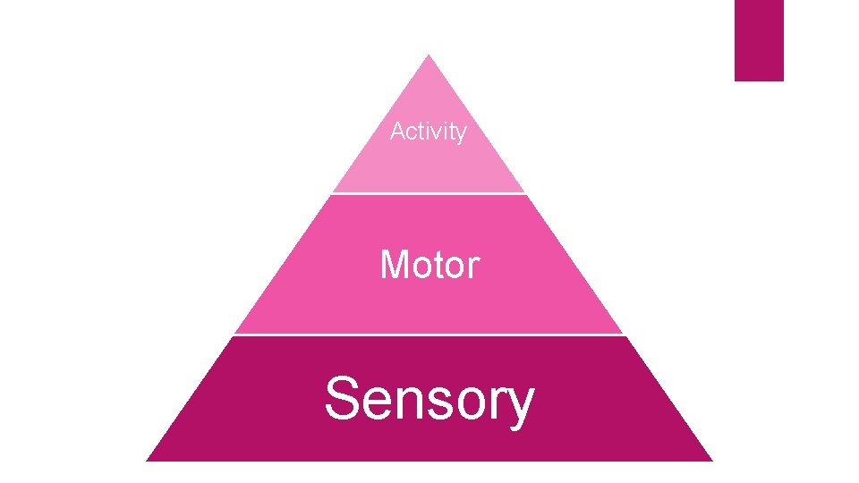 Activity Motor Sensory 