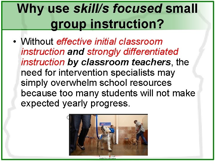 Why use skill/s focused small group instruction? • Without effective initial classroom instruction and