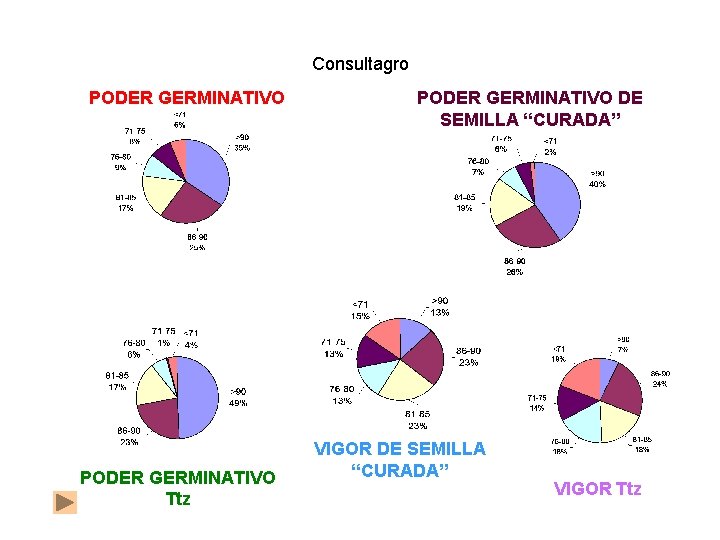 Consultagro PODER GERMINATIVO Ttz PODER GERMINATIVO DE SEMILLA “CURADA” VIGOR Ttz 