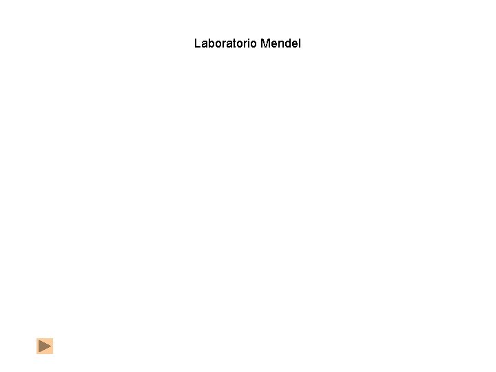 Laboratorio Mendel 