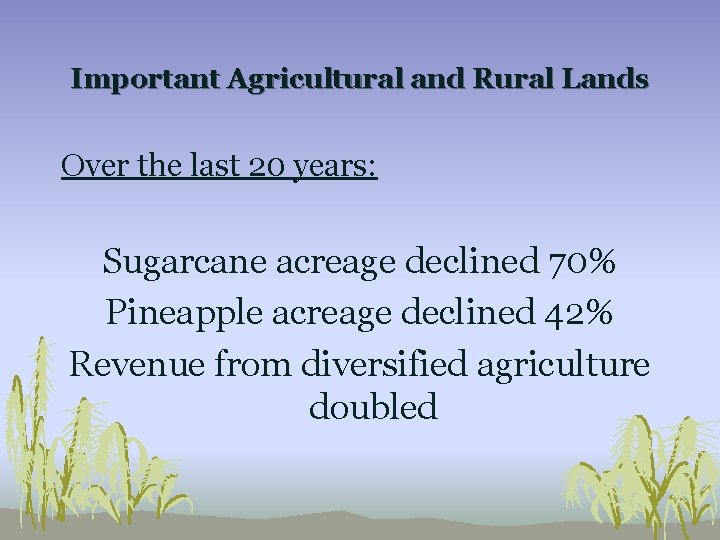 Important Agricultural and Rural Lands Over the last 20 years: Sugarcane acreage declined 70%