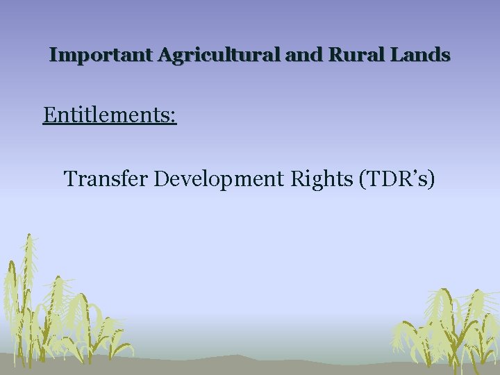 Important Agricultural and Rural Lands Entitlements: Transfer Development Rights (TDR’s) 