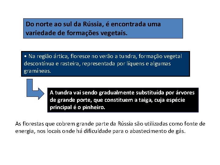 Do norte ao sul da Rússia, é encontrada uma variedade de formações vegetais. •